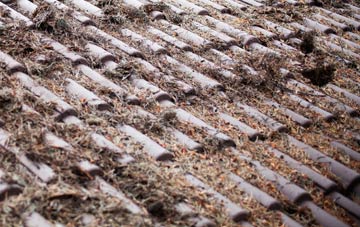 Duns roof cleaning companies